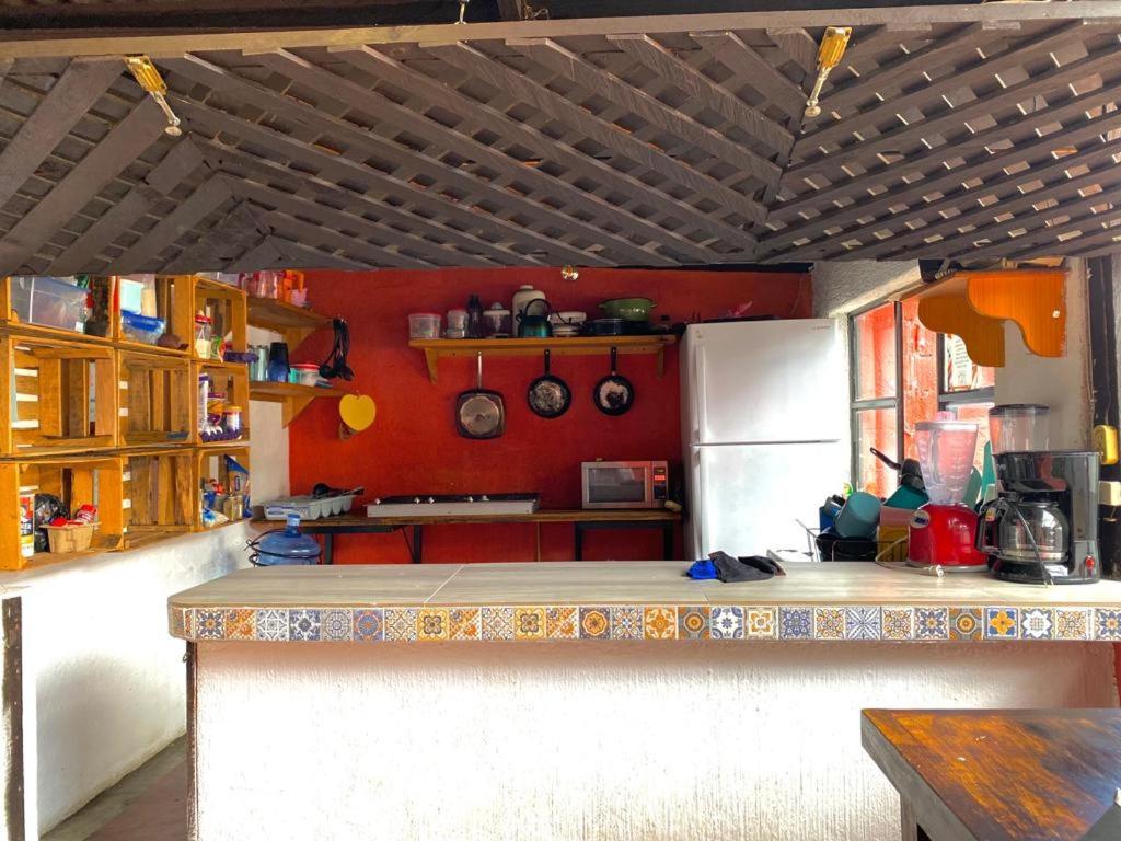 فندق Berlin61 San Cristóbal de Las Casas المظهر الخارجي الصورة