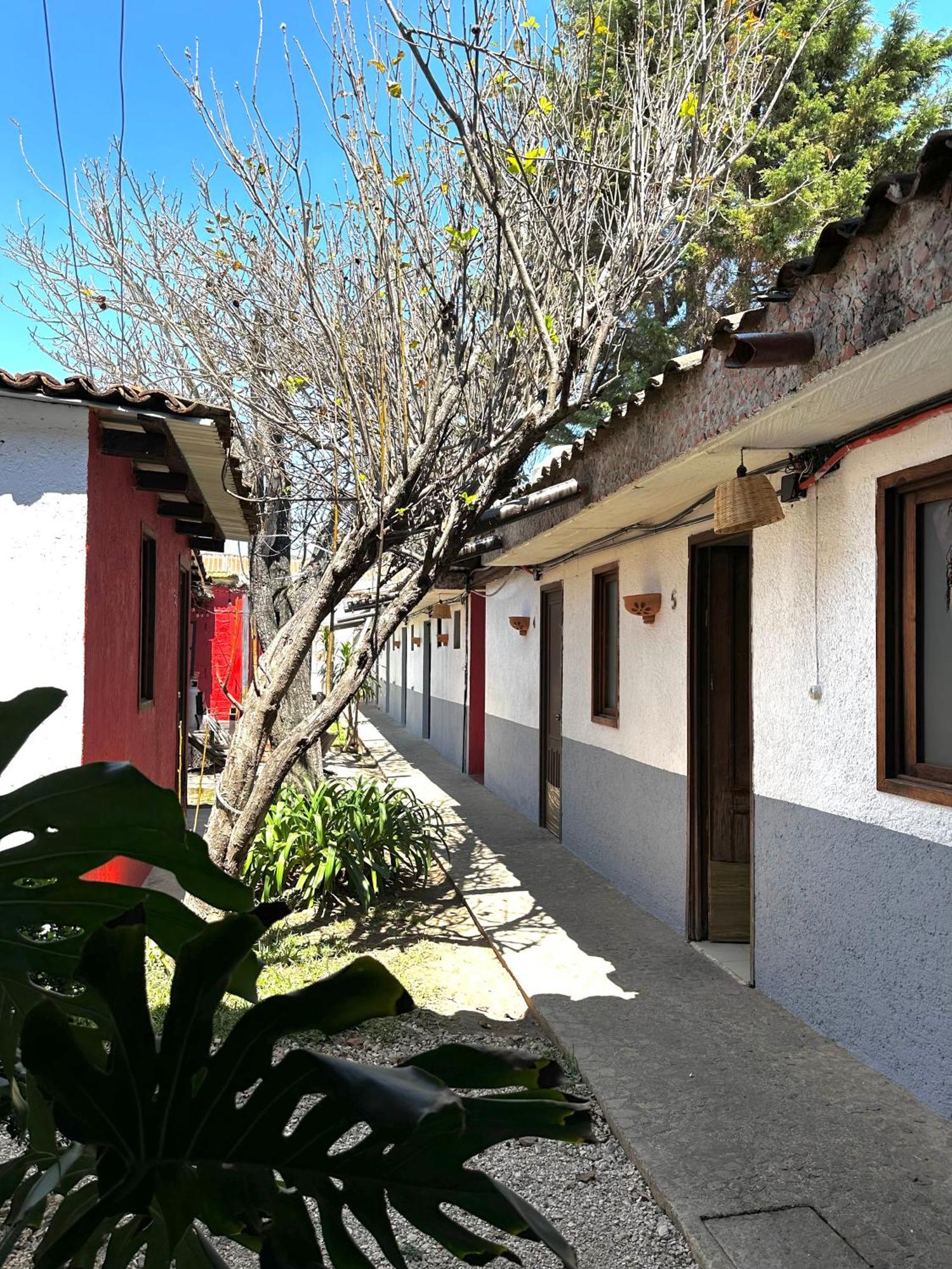 فندق Berlin61 San Cristóbal de Las Casas المظهر الخارجي الصورة
